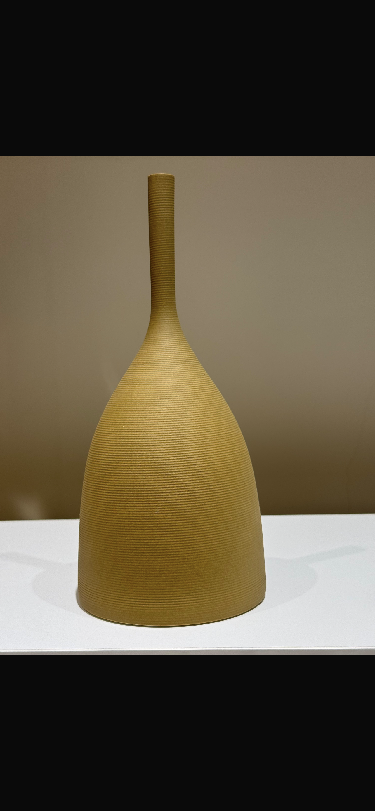 Pottery vases