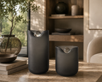 Vase with trans set of 2