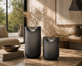 Vase with trans set of 2