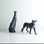 Leopard gray
