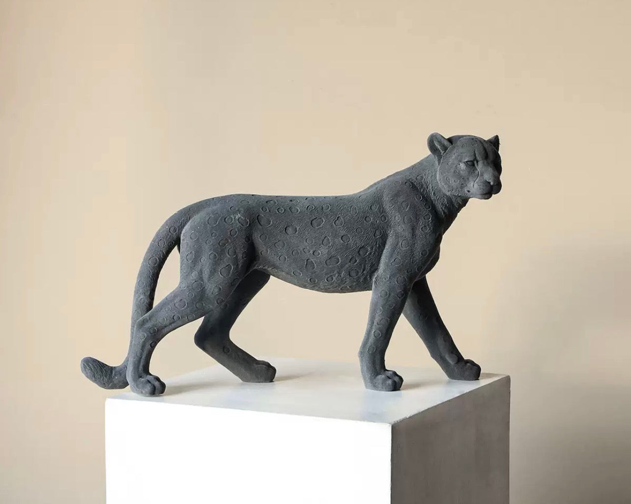 Leopard gray
